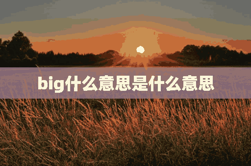 big什么意思是什么意思(big什么意思是什么意思啊)